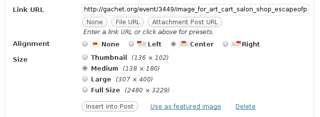 Wordpress post menu media insert